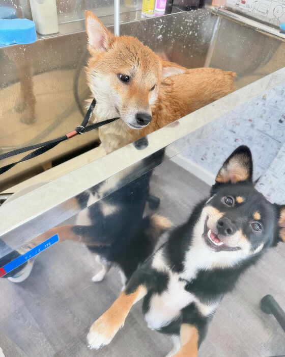 ブログ画像
