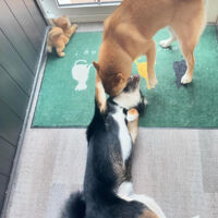 ブログ画像