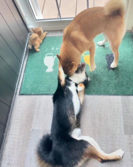 ブログ画像