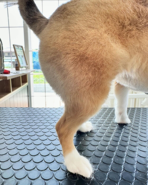 ブログ画像