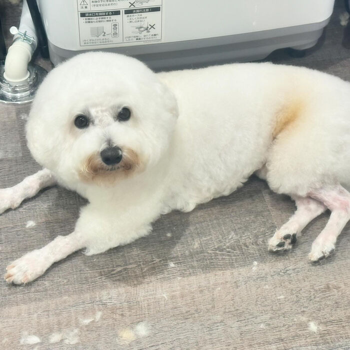 ブログ画像