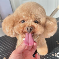 ブログ画像