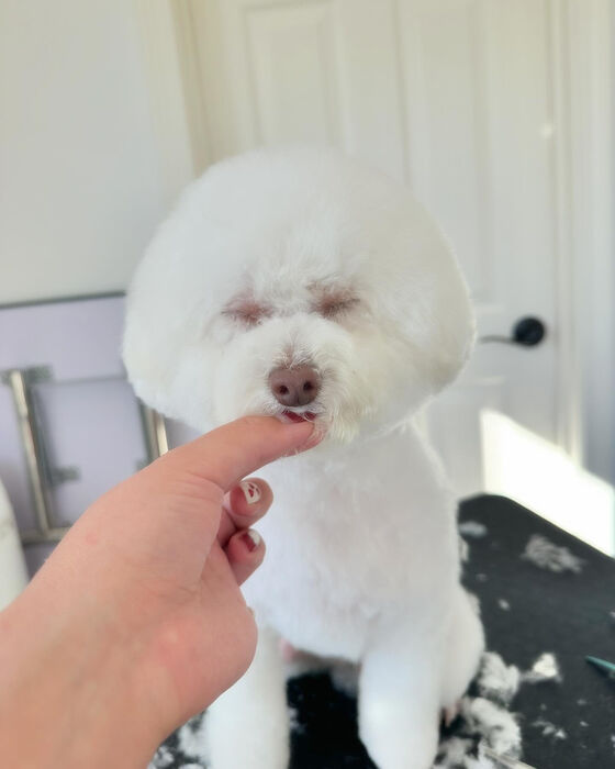ブログ画像