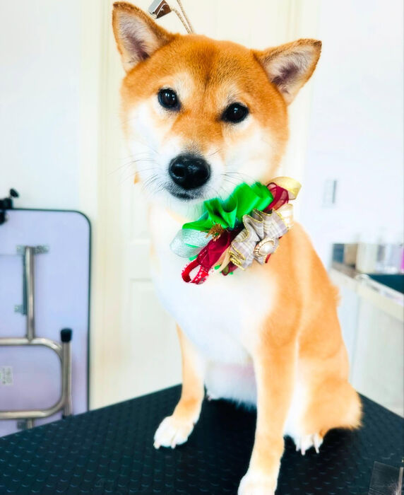 ブログ画像