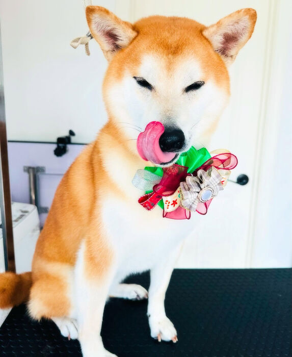 ブログ画像