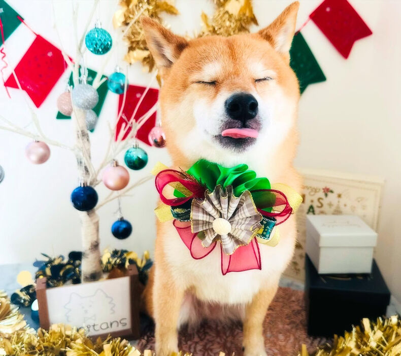 ブログ画像