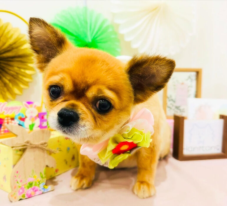ブログ画像