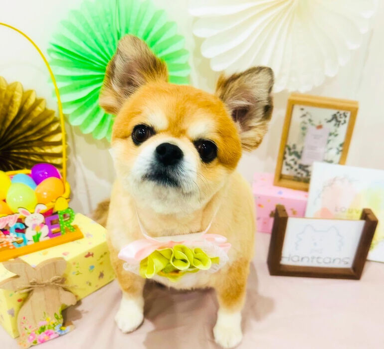 ブログ画像