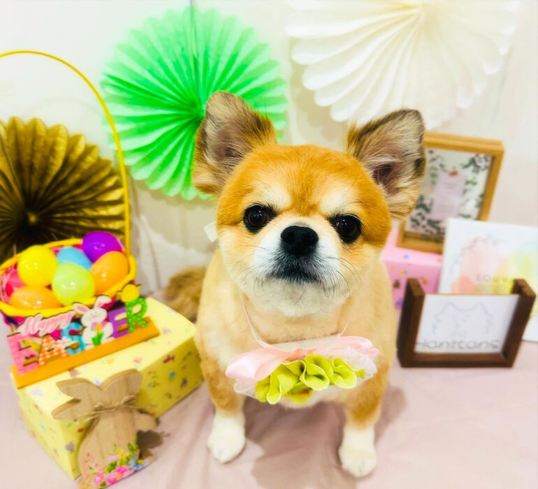 ブログ画像