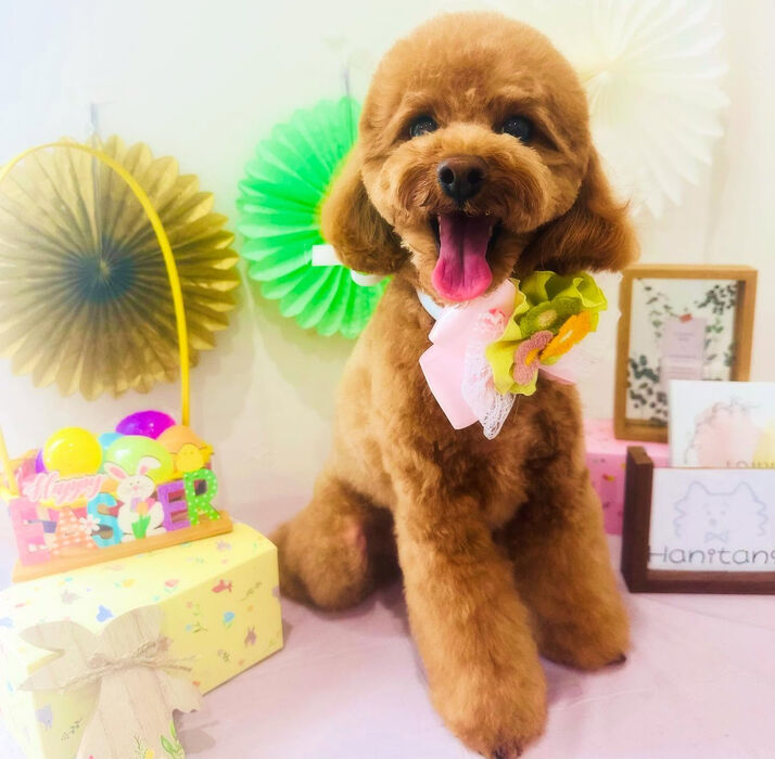 ブログ画像