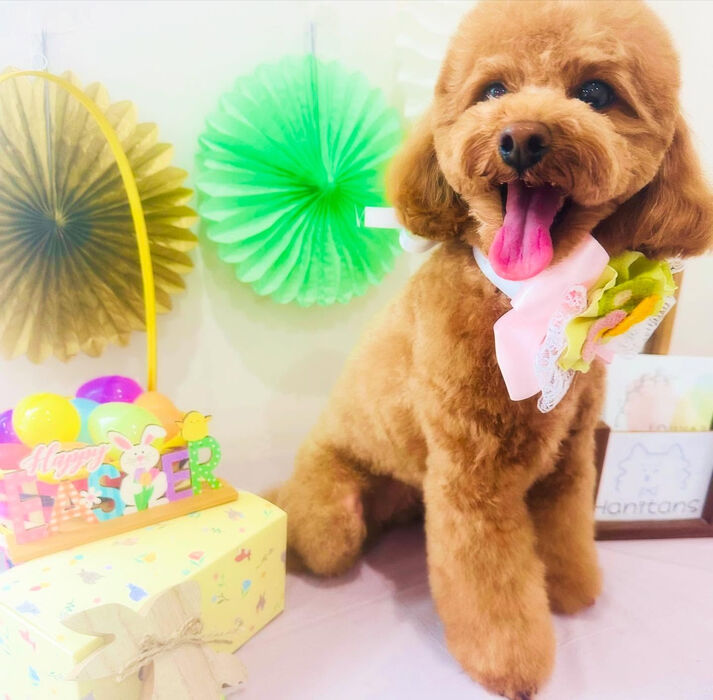 ブログ画像