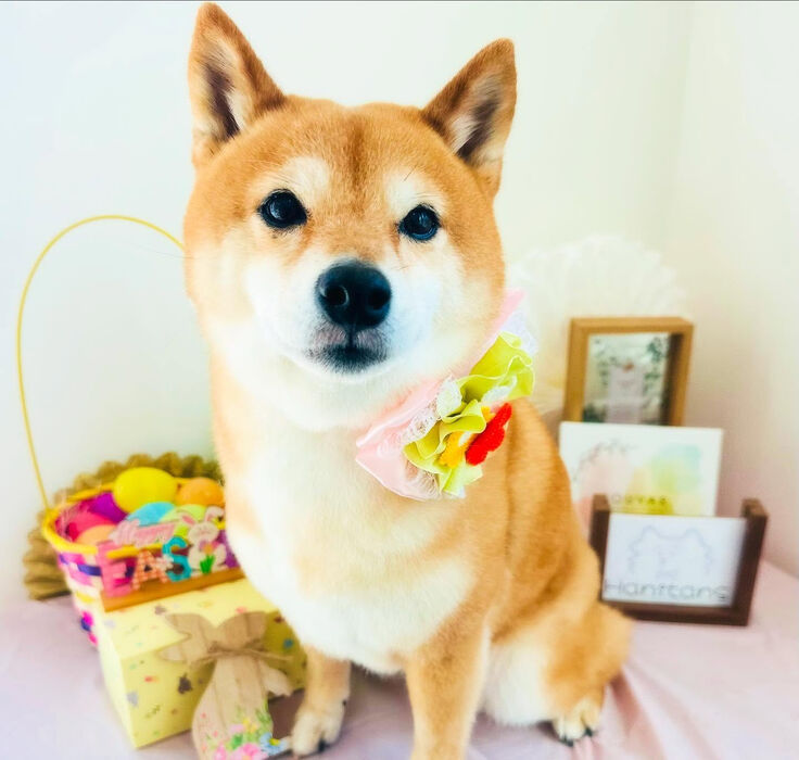 ブログ画像