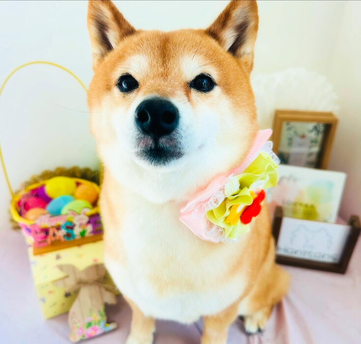 ブログ画像