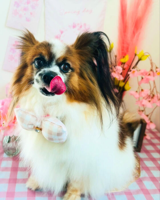 ブログ画像