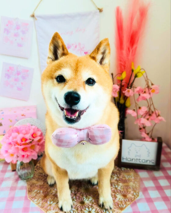 ブログ画像