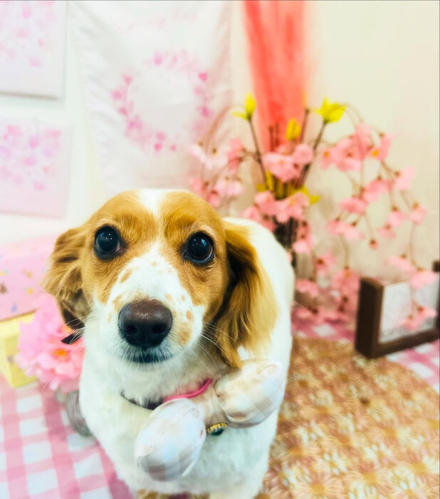ブログ画像