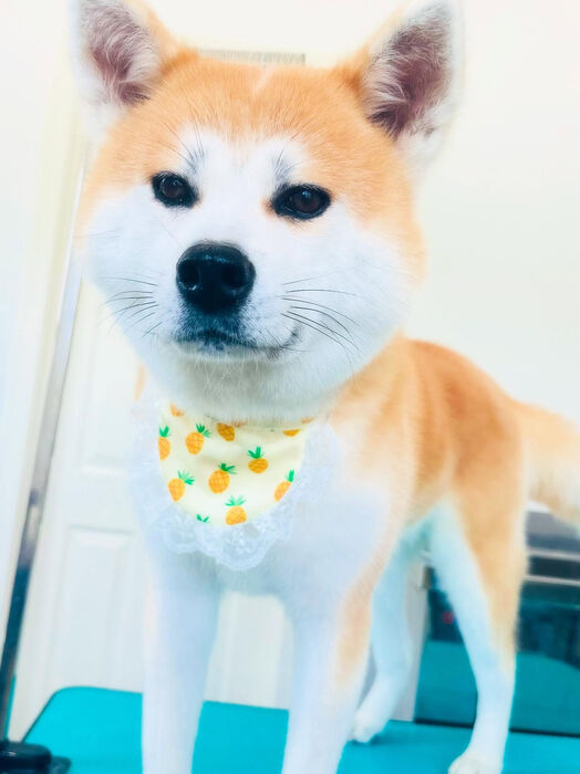 ブログ画像