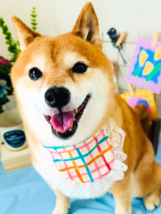 ブログ画像