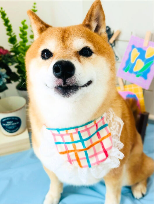ブログ画像