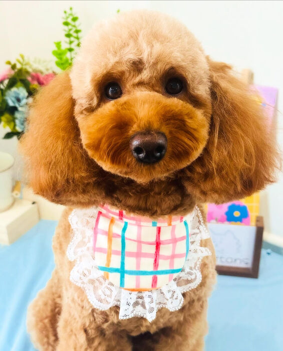 ブログ画像
