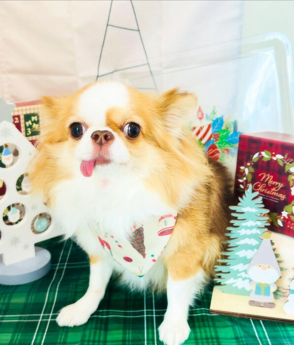 ブログ画像