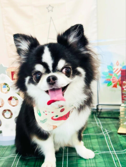 ブログ画像