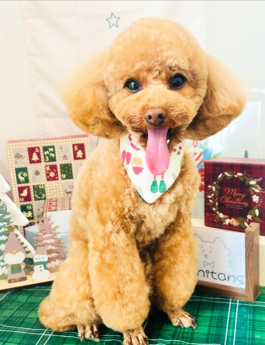 ブログ画像