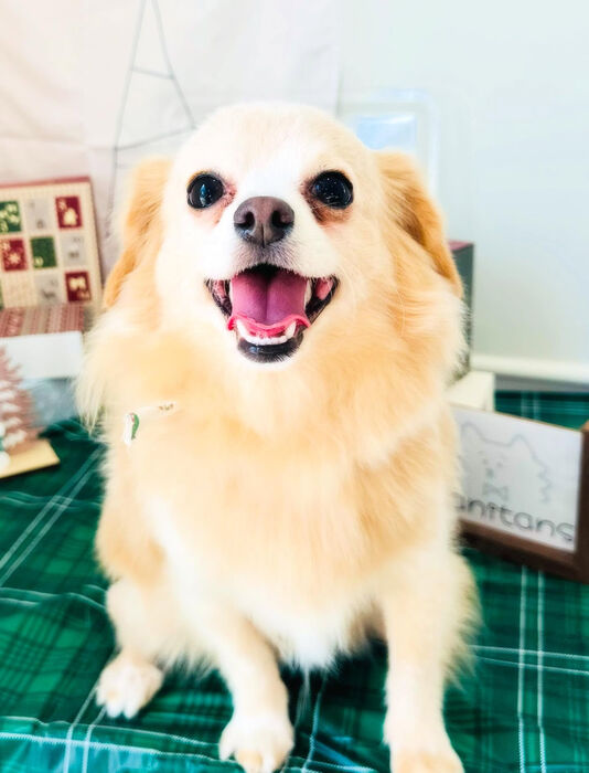 ブログ画像