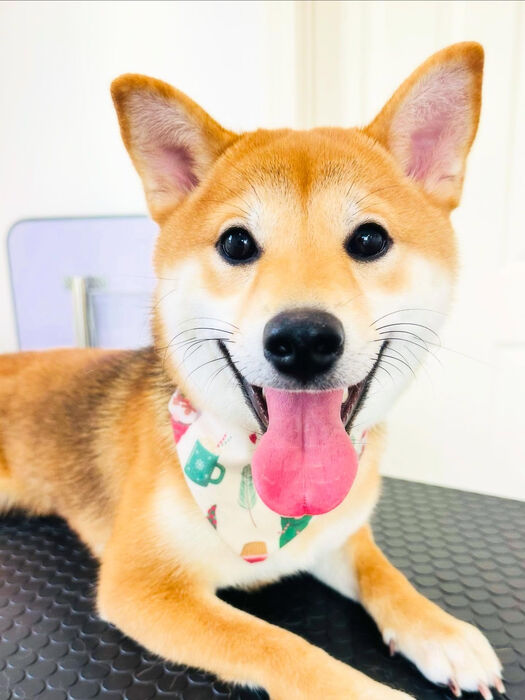 ブログ画像