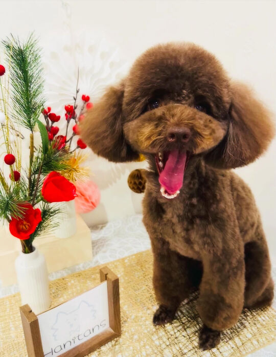 ブログ画像