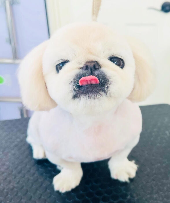 ブログ画像