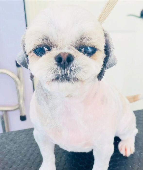 ブログ画像