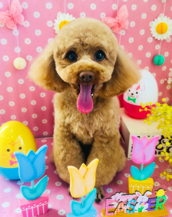 ブログ画像