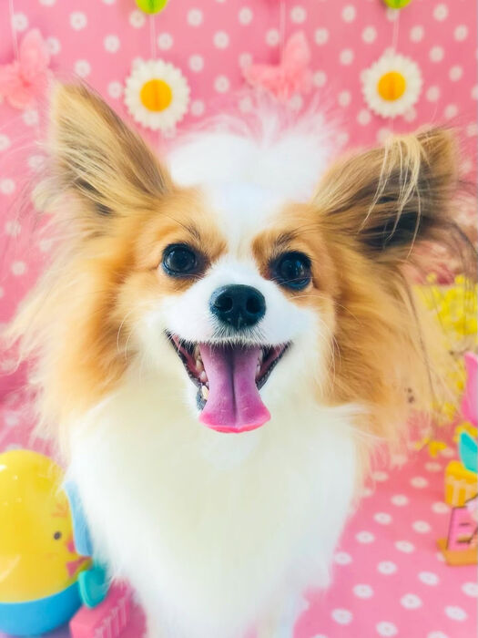 ブログ画像