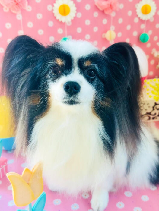 ブログ画像