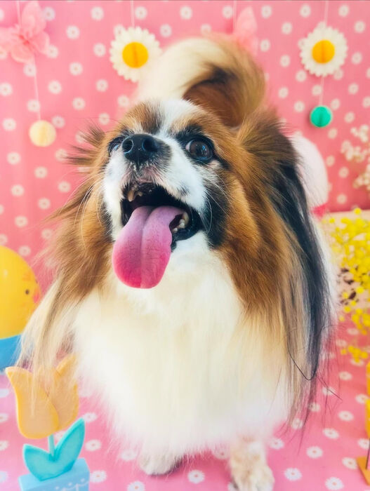 ブログ画像
