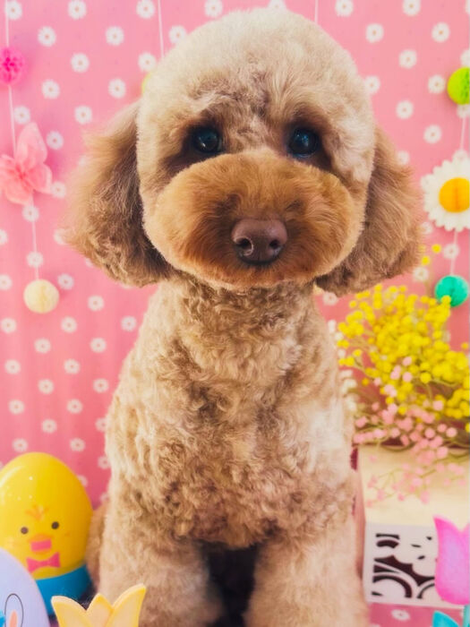 ブログ画像