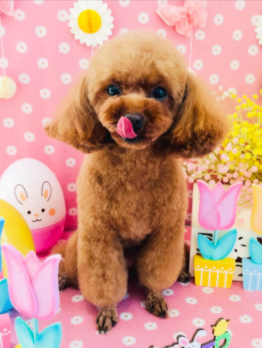 ブログ画像