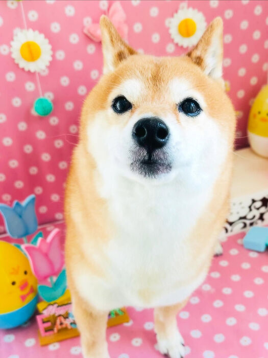 ブログ画像