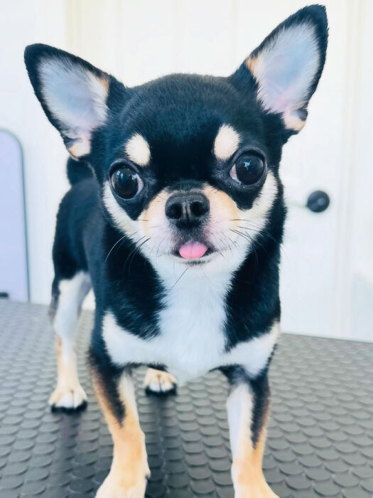 ブログ画像
