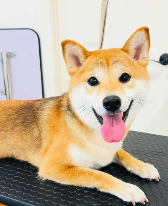 ブログ画像
