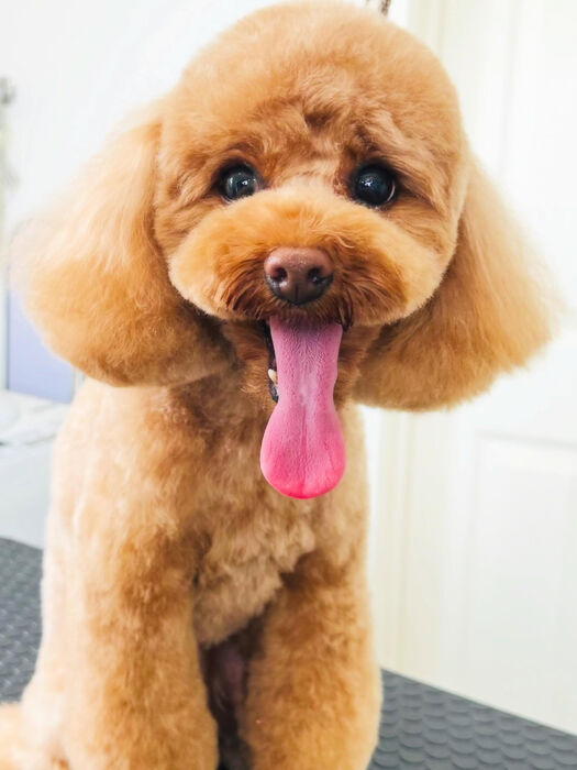 ブログ画像
