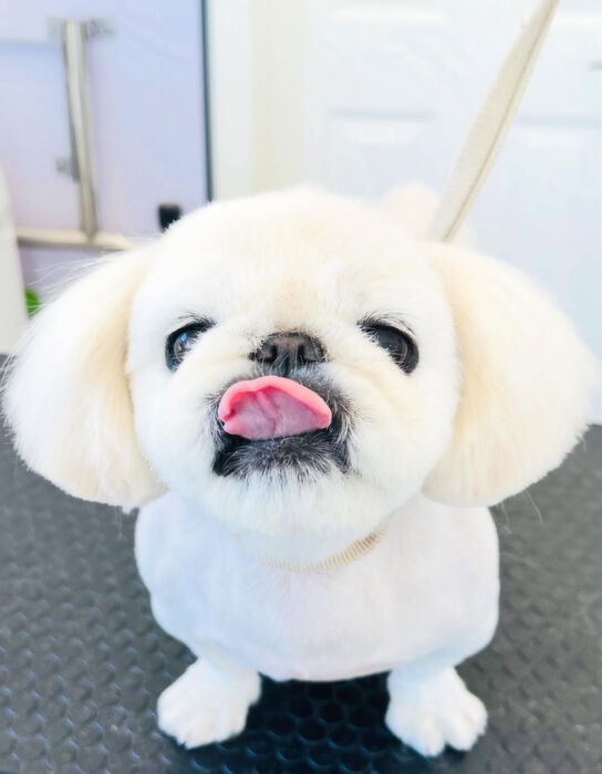 ブログ画像
