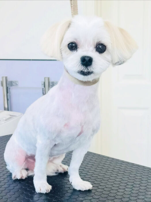 ブログ画像