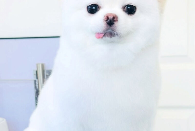 画像4812：🐾🐾🐾🐾🐾🐾🐾🐾🐾🐾🐾🐾