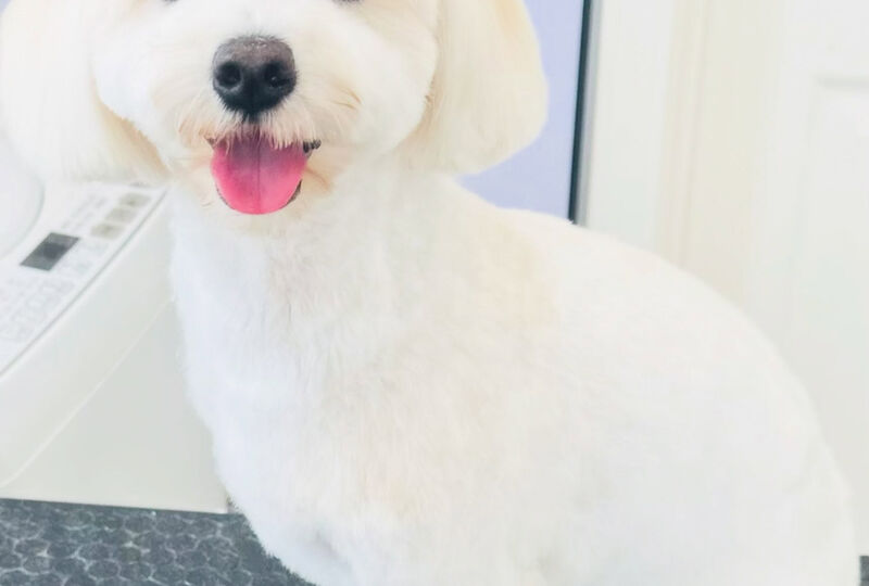 画像4814：🐾🐾🐾🐾🐾🐾🐾🐾🐾🐾🐾🐾🐾🐾
