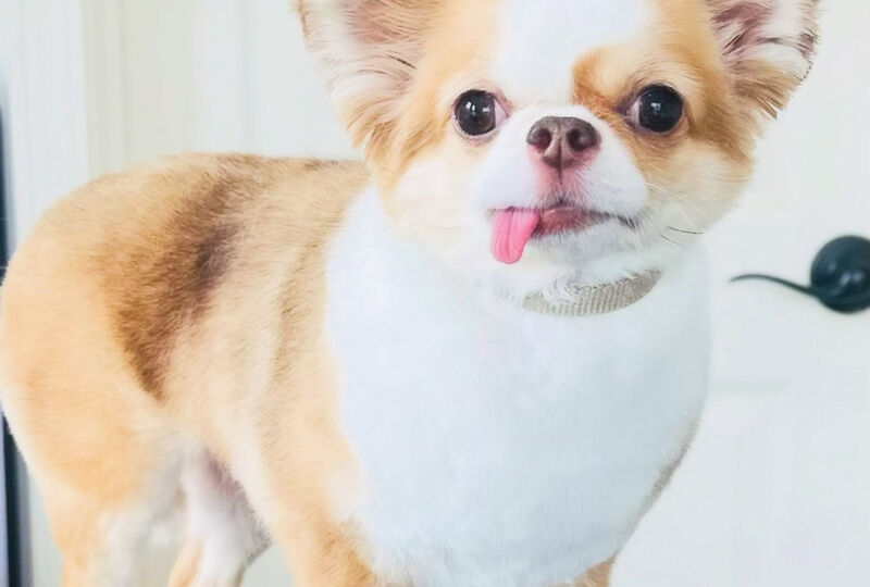 画像4816：🐾🐾🐾🐾🐾🐾🐾🐾🐾🐾🐾🐾🐾
